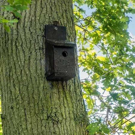 3 Bedroom Gorgeous In * ジルレジェ